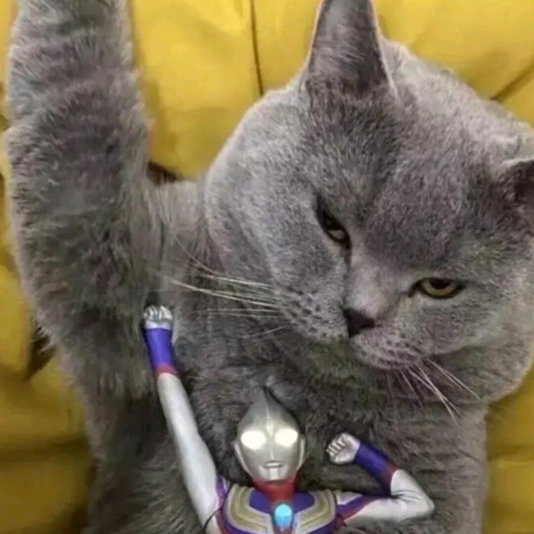 慕.