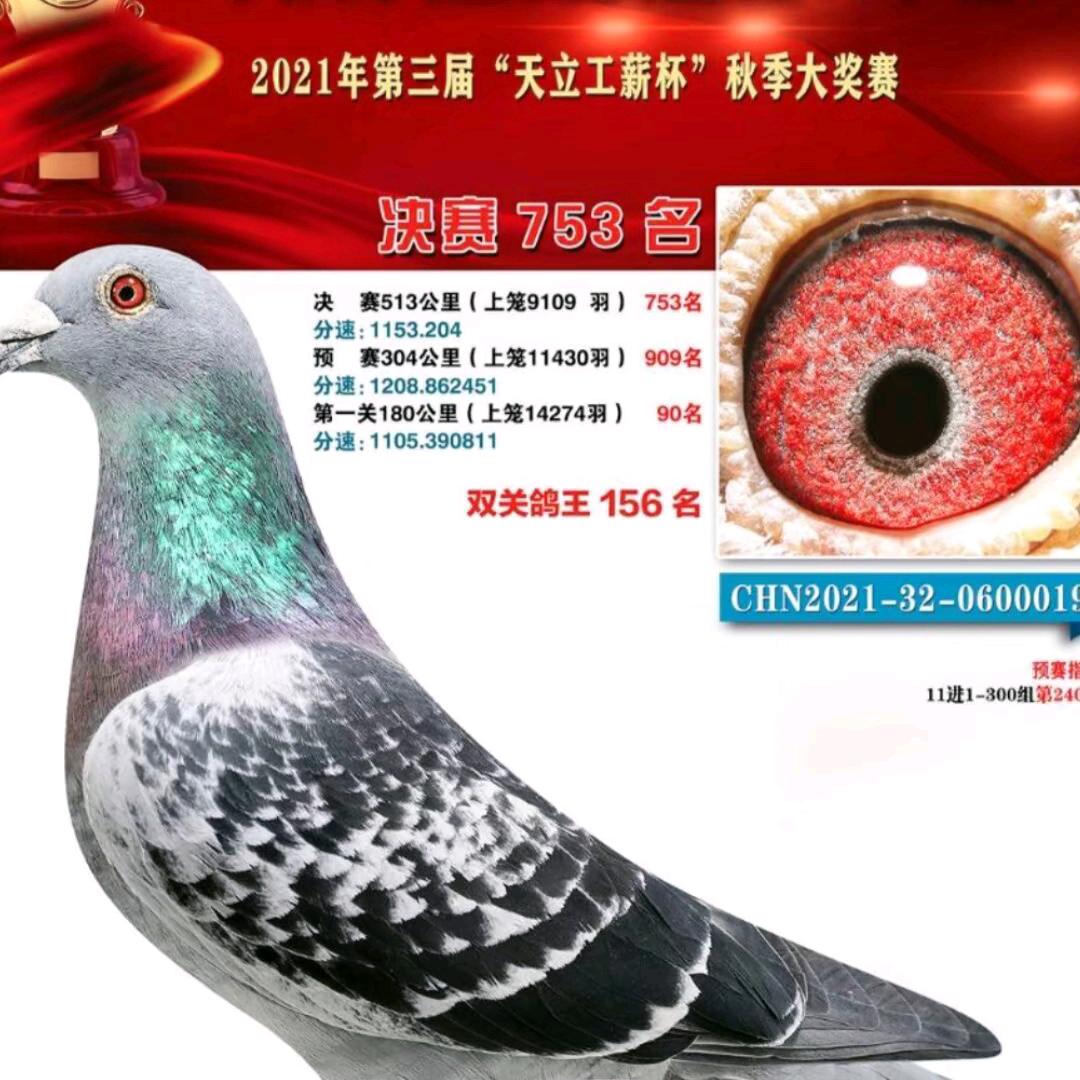 祝刚一专业室内装修