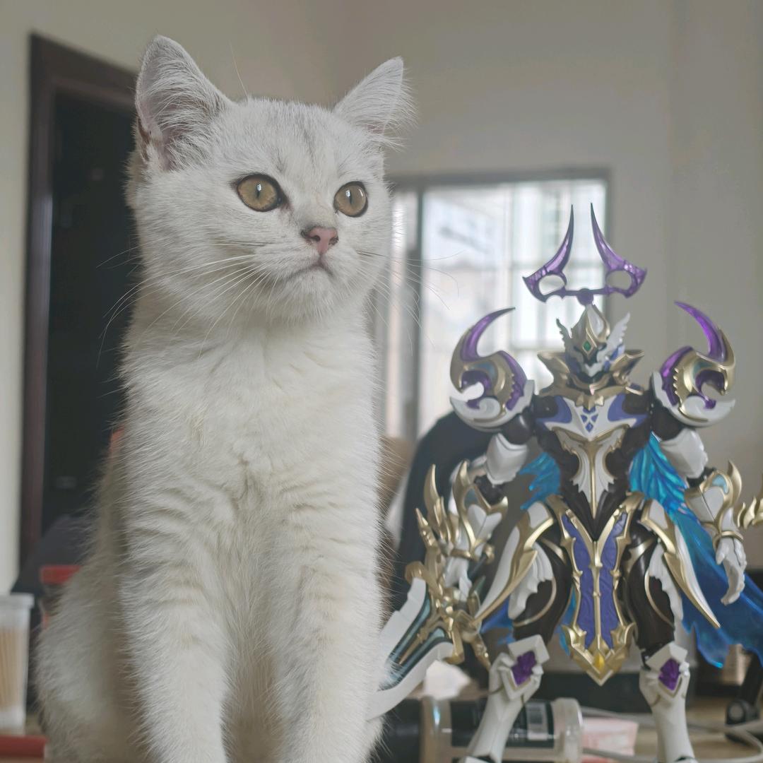 🌈小虎牙《J》