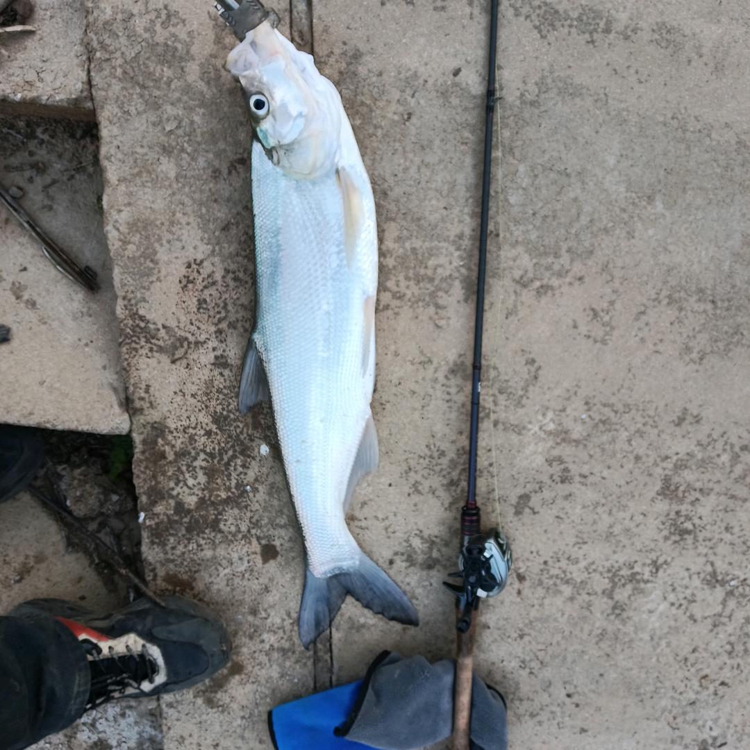 桐城杰瑞米瓦德