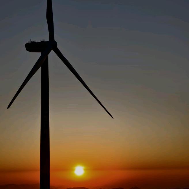 疏影横斜水清浅。