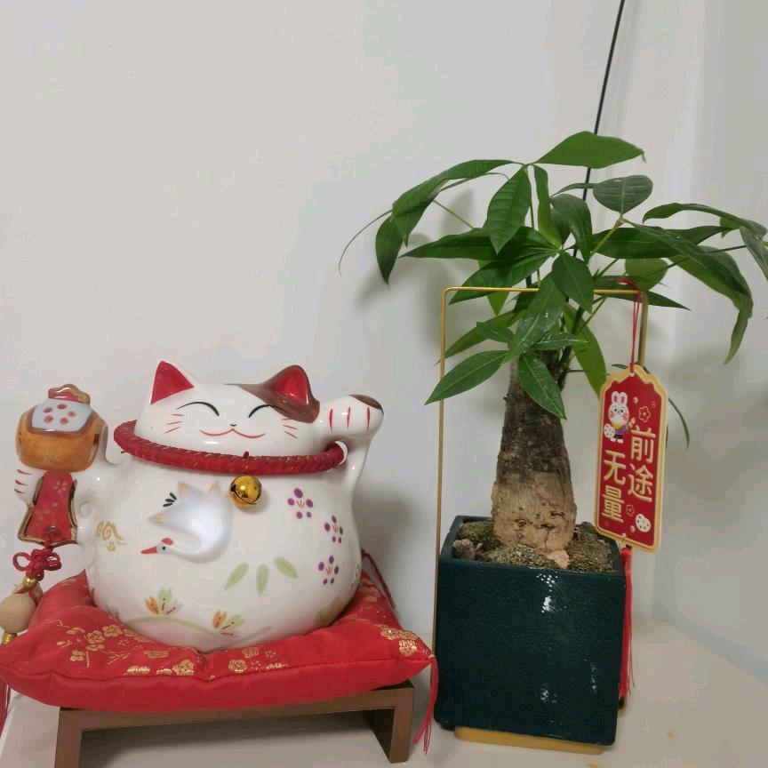 🆑满.心向阳