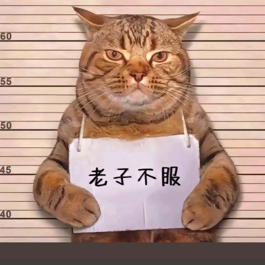 彭哈哈摆摊日记