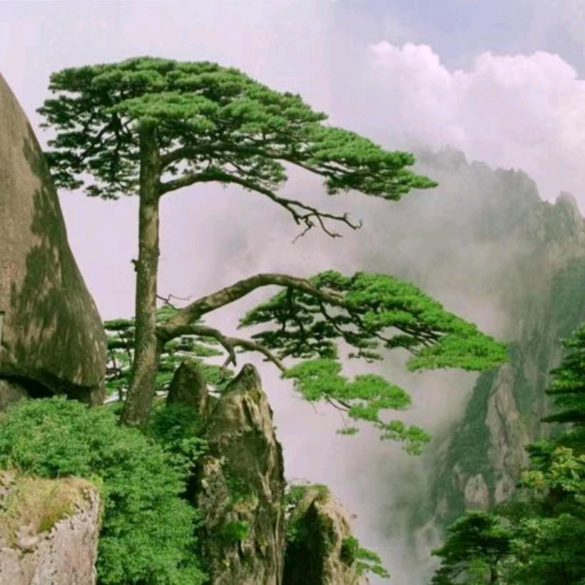徽州东哥