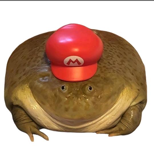 ILNUHS