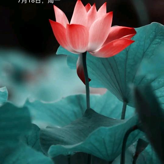 啊伟