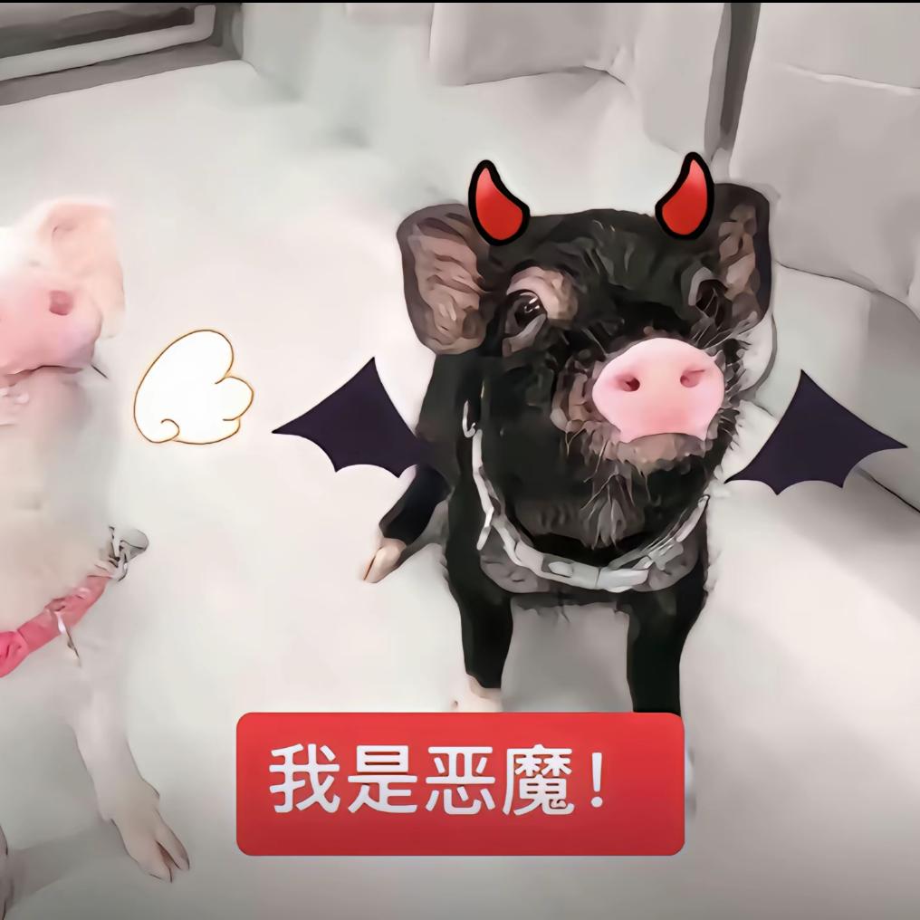 厄运霉运退退退