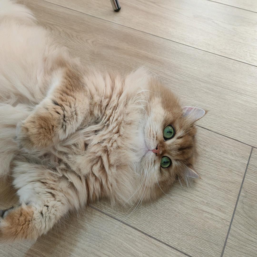 17🥰