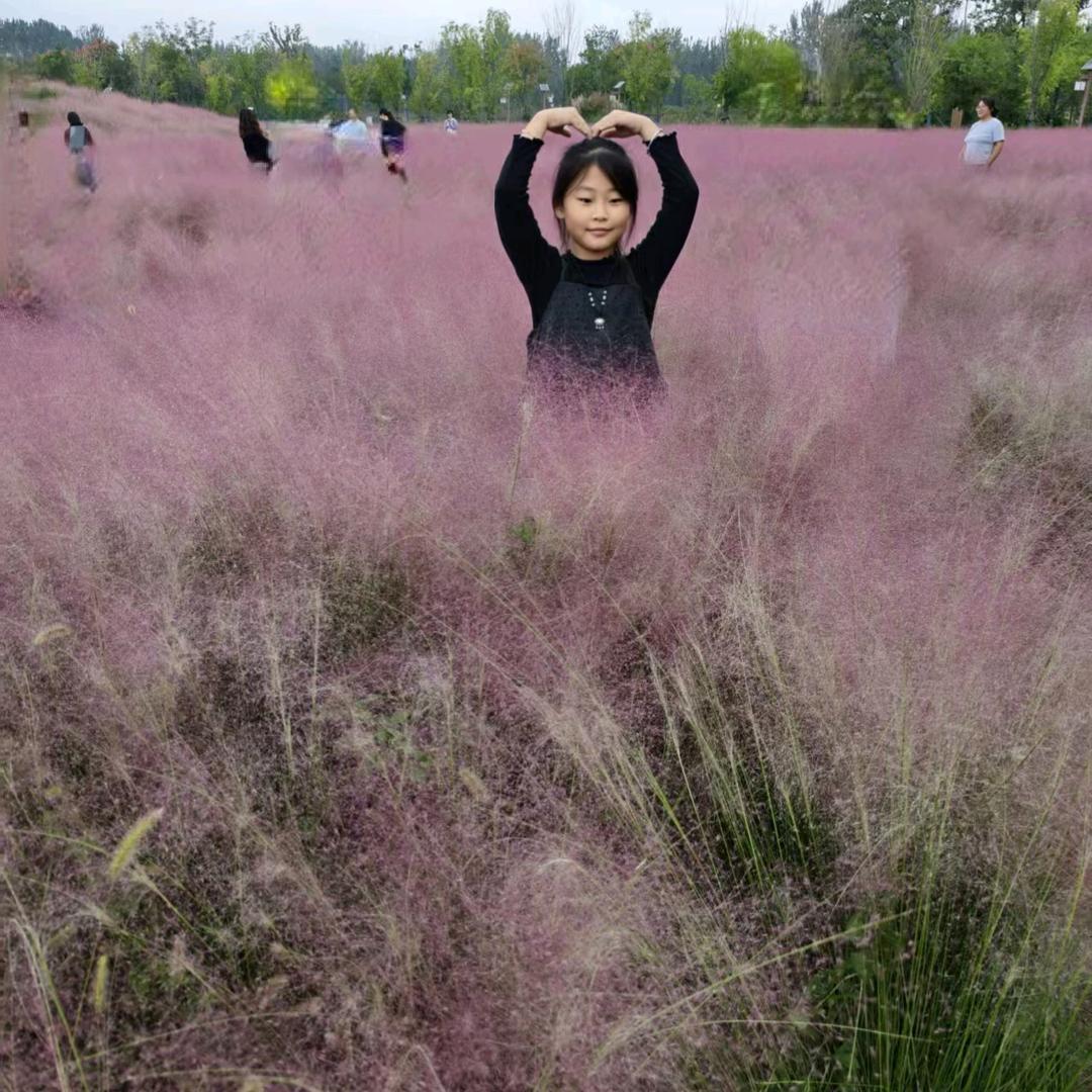 平平淡淡的生活😃😃