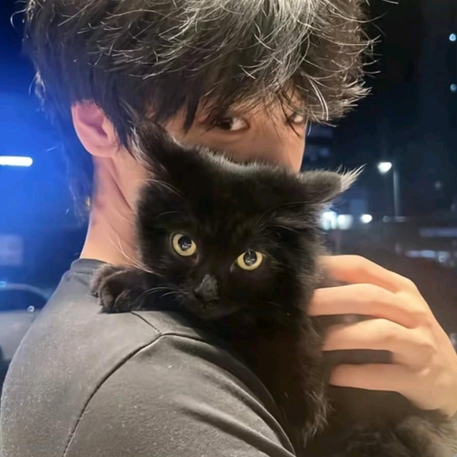 鹤琥 （单机游戏）