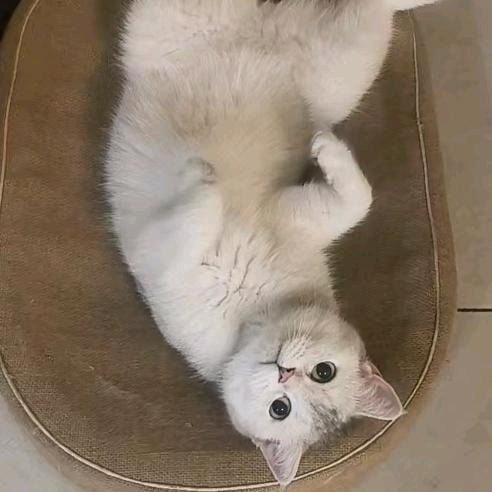 邹佳儿～小样的