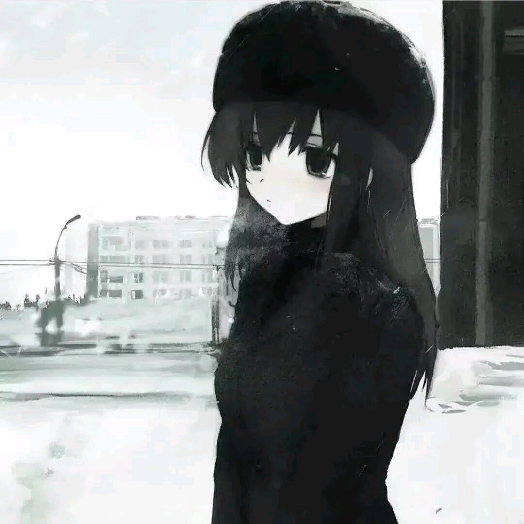 山茶花
