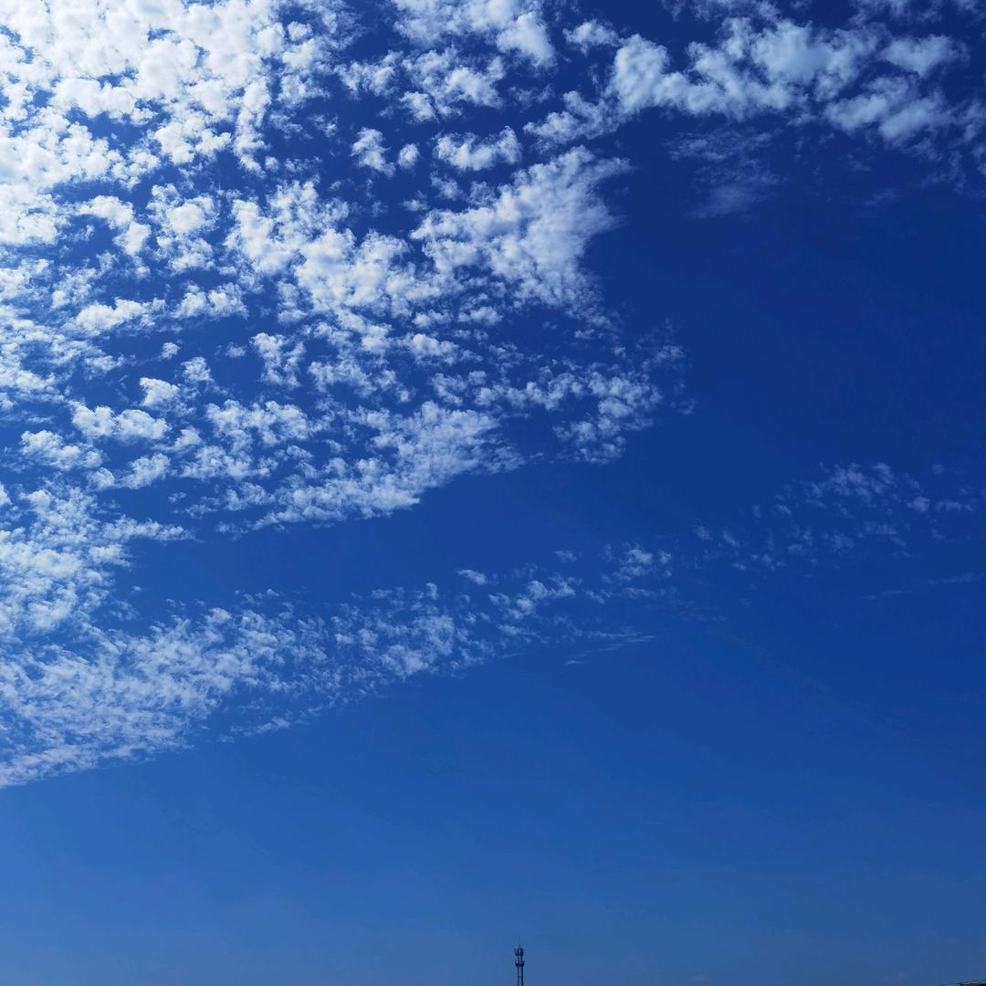 阅读人生