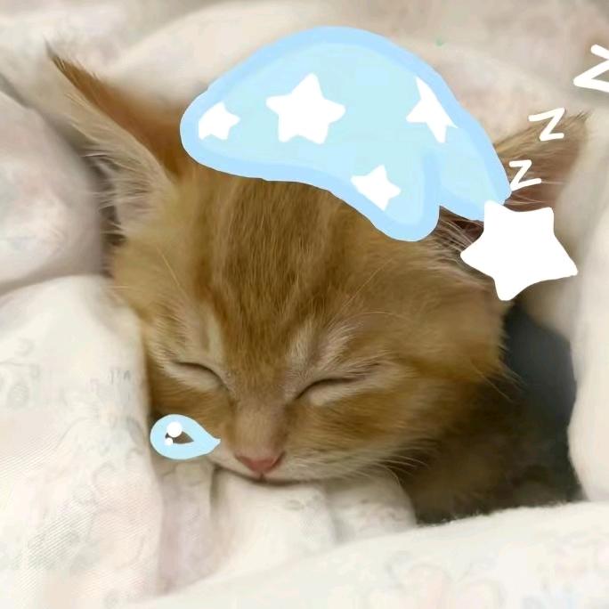 雨落