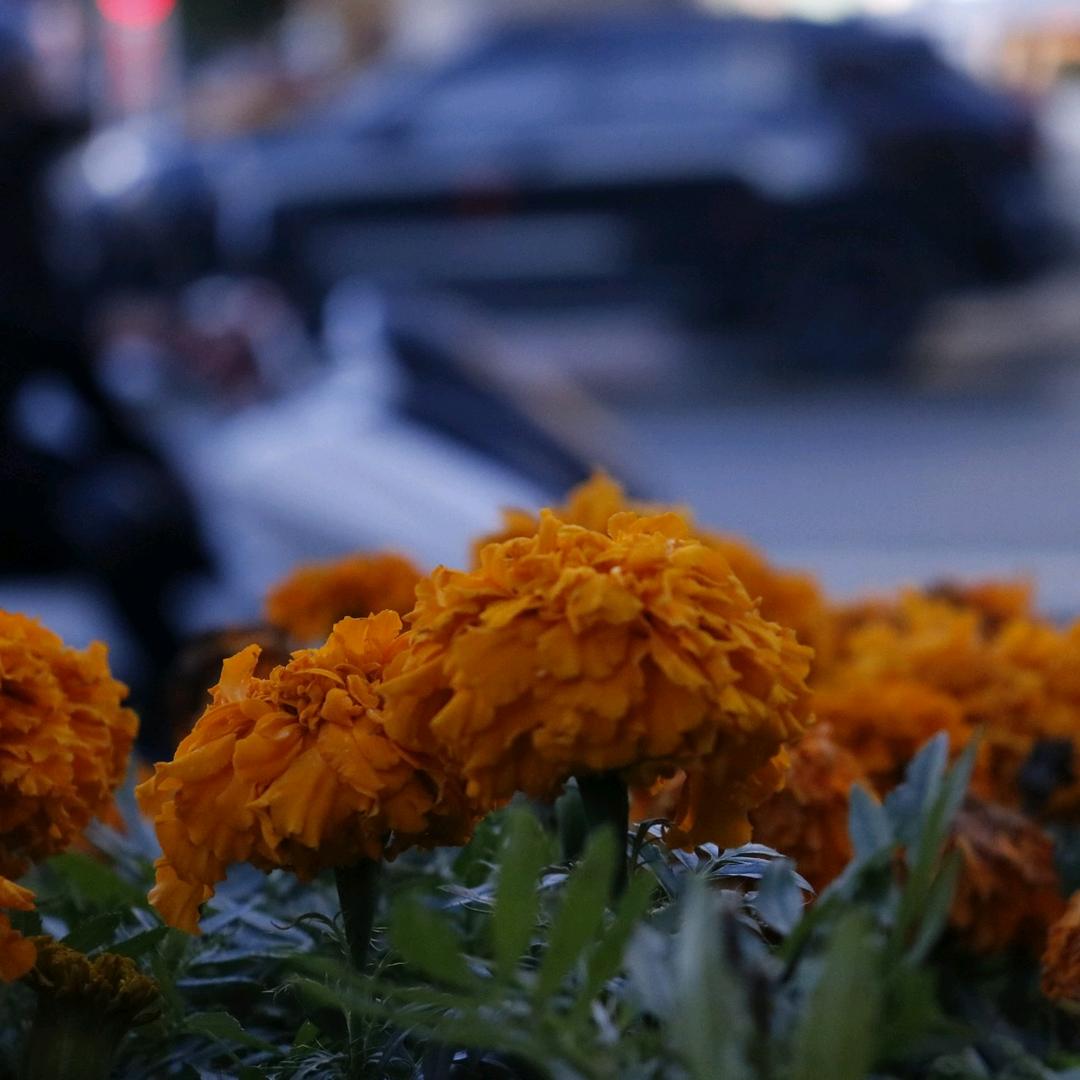 我在天上看月亮