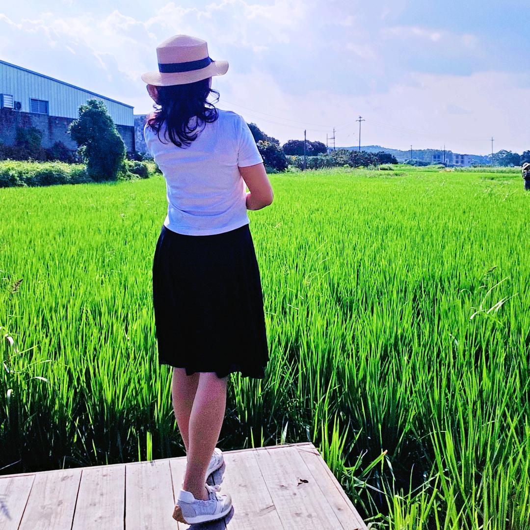 蝉临玉叶🍀（手机摄影）