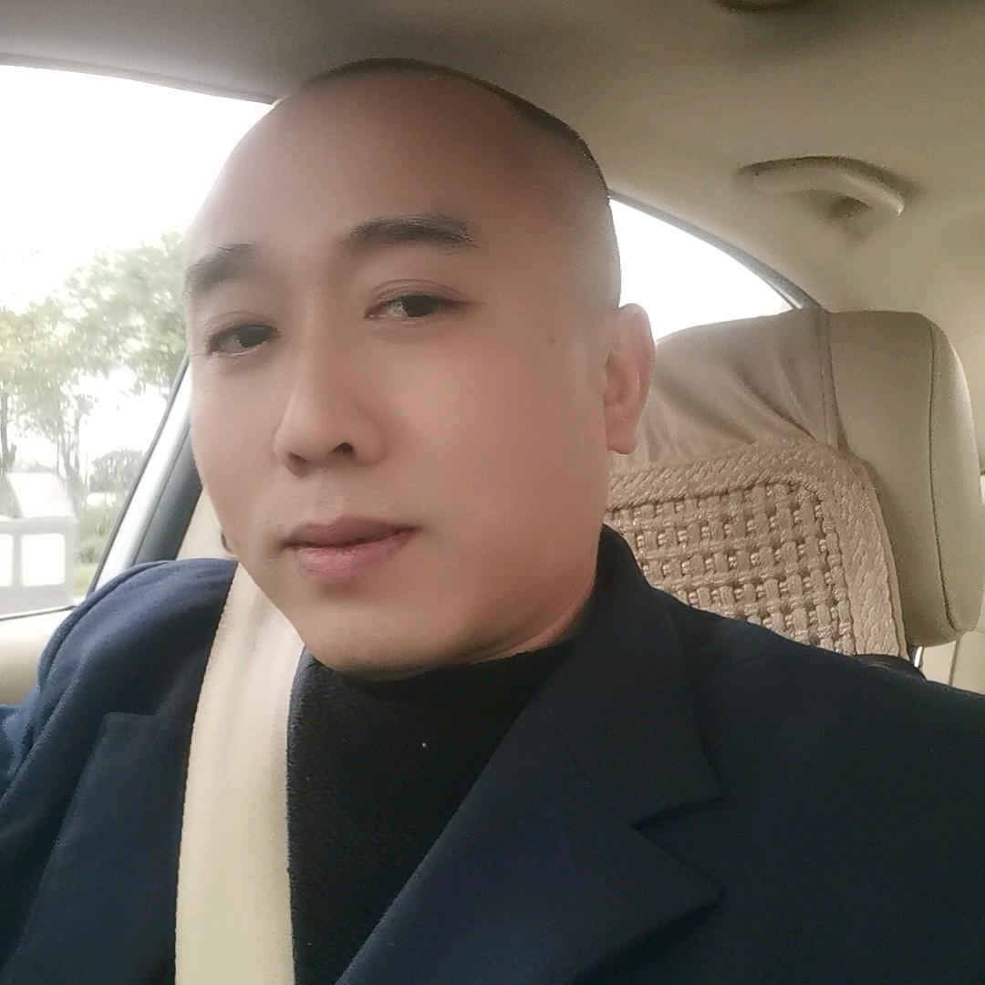 单飞的鸽子