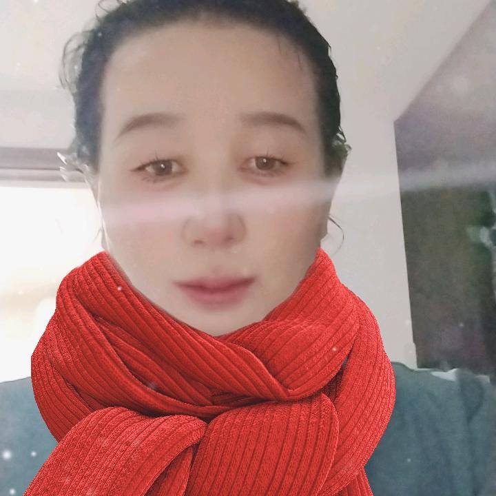 刘志凤
