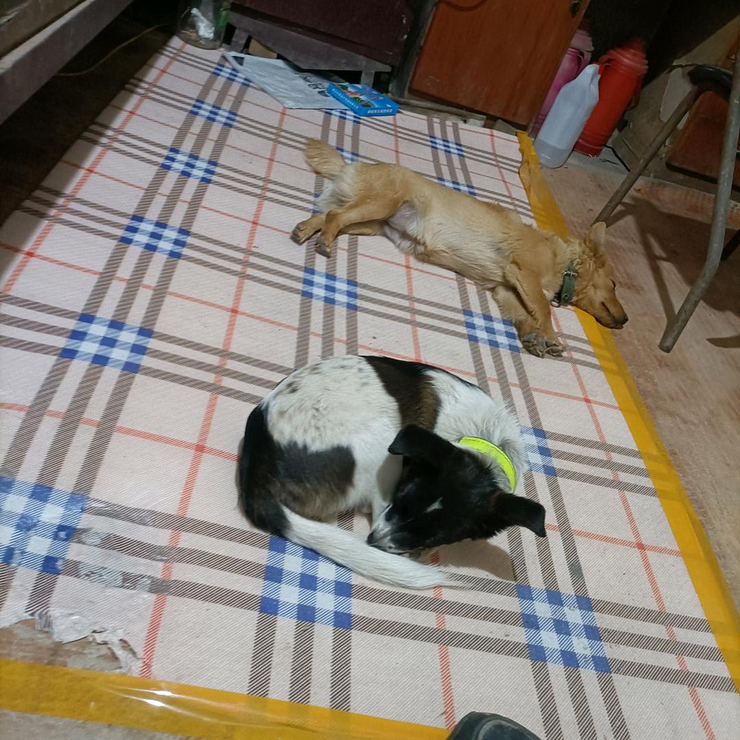 我还是我