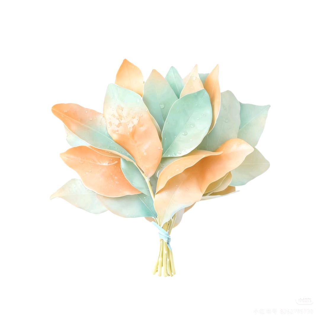 柠檬草小精灵
