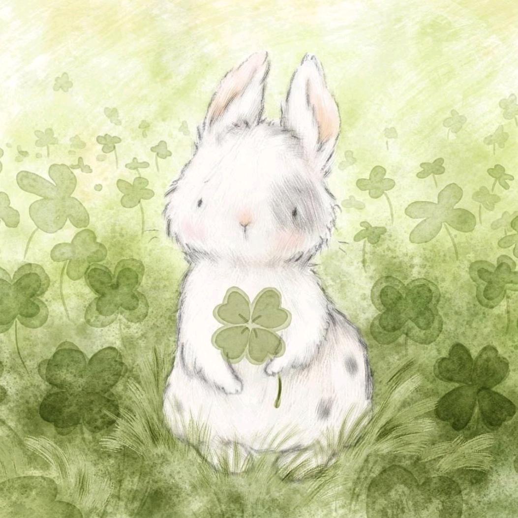 我也不太了解她