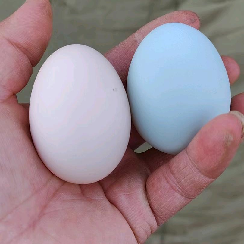 老刘家土特产店