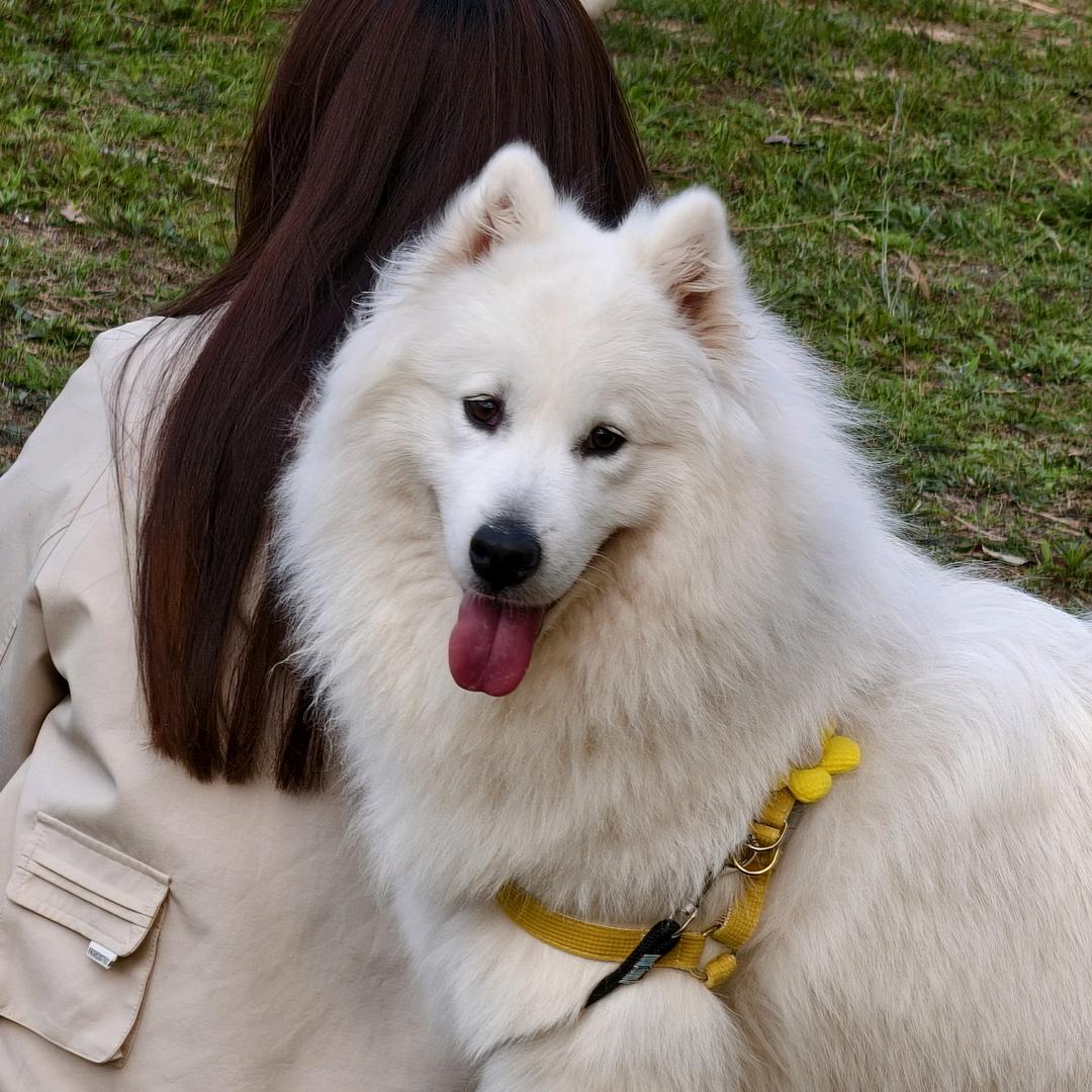 🧜‍♀️🧜‍♀️逍遥虎、狂虎