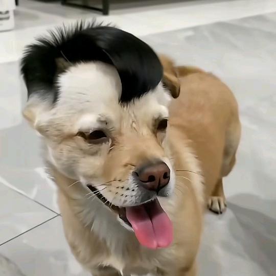 傅̶千亿♥̶م