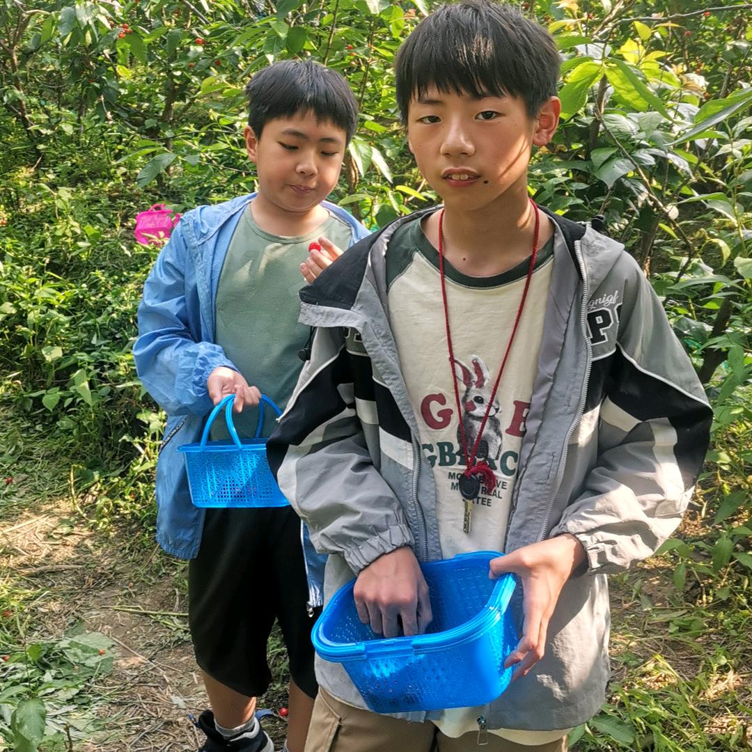 来干烧包谷