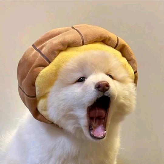 不暴富不改名