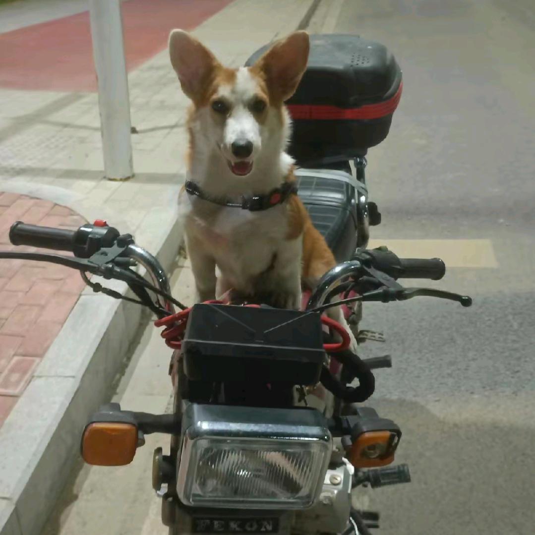 小曾