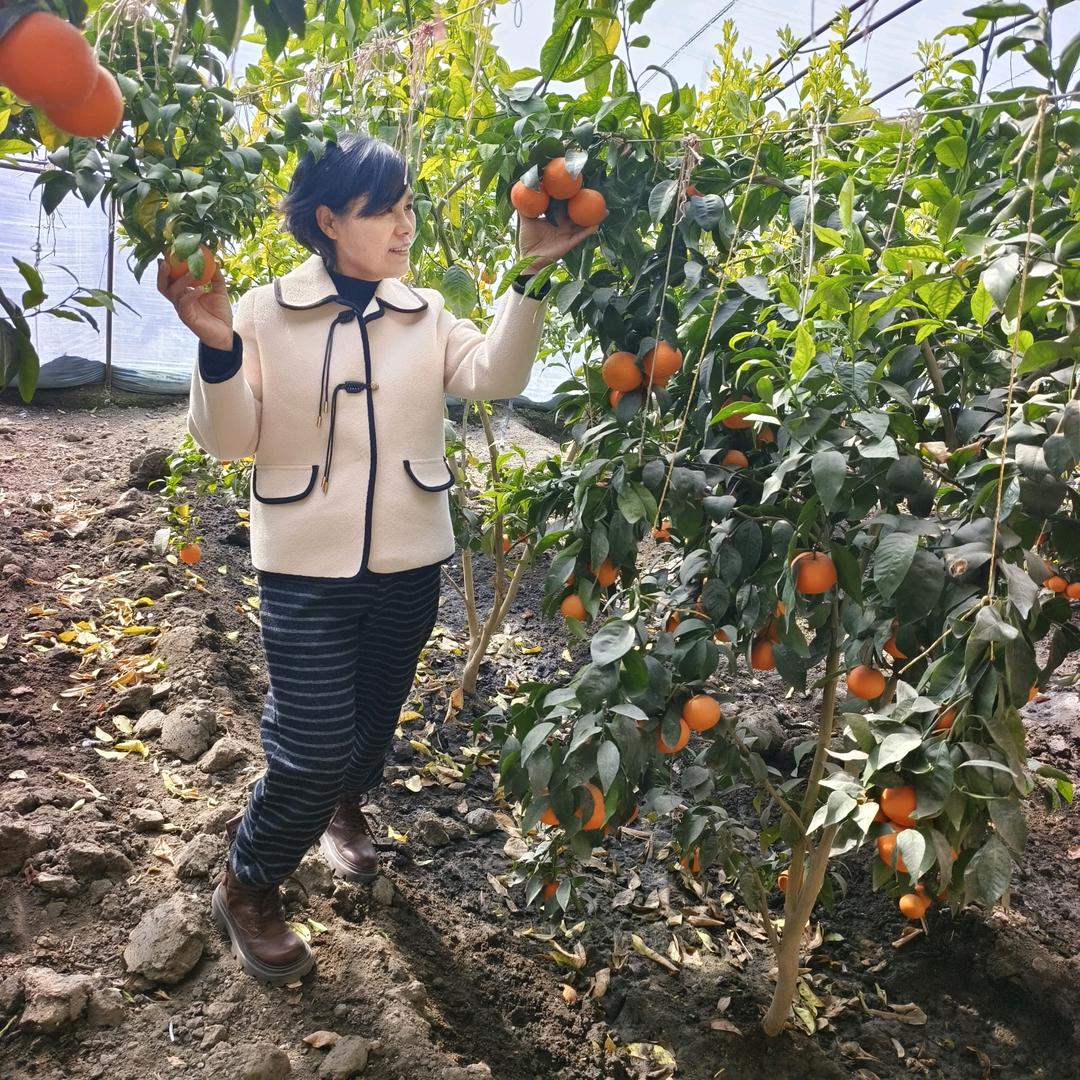 丁姐