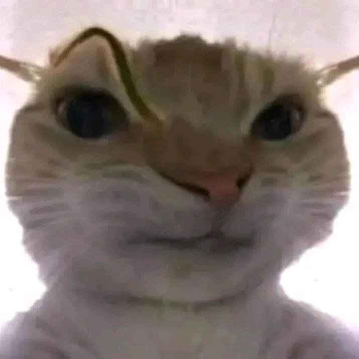 不度（三角洲行动）