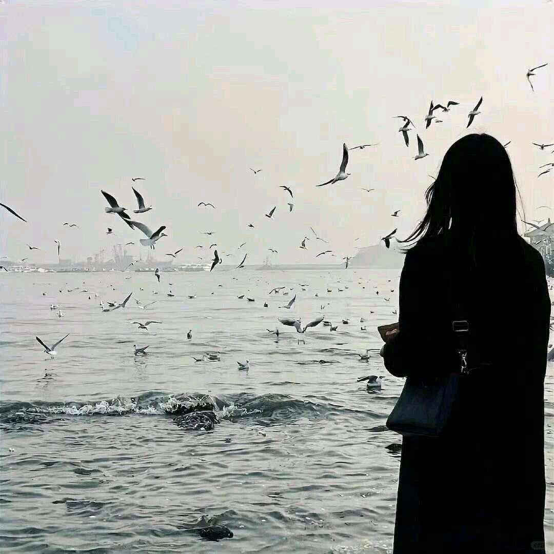 楠桉