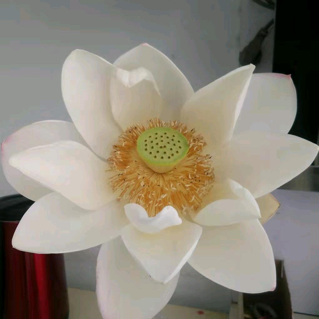 美好生活