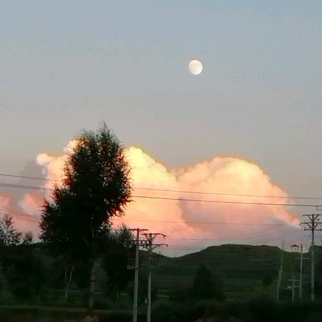 忘忧