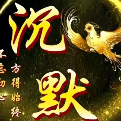 豫东田哥
