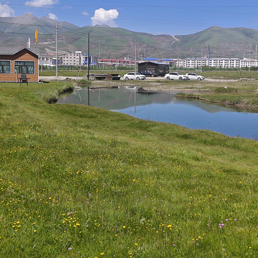 🌺🌺余生安好🎊🎉