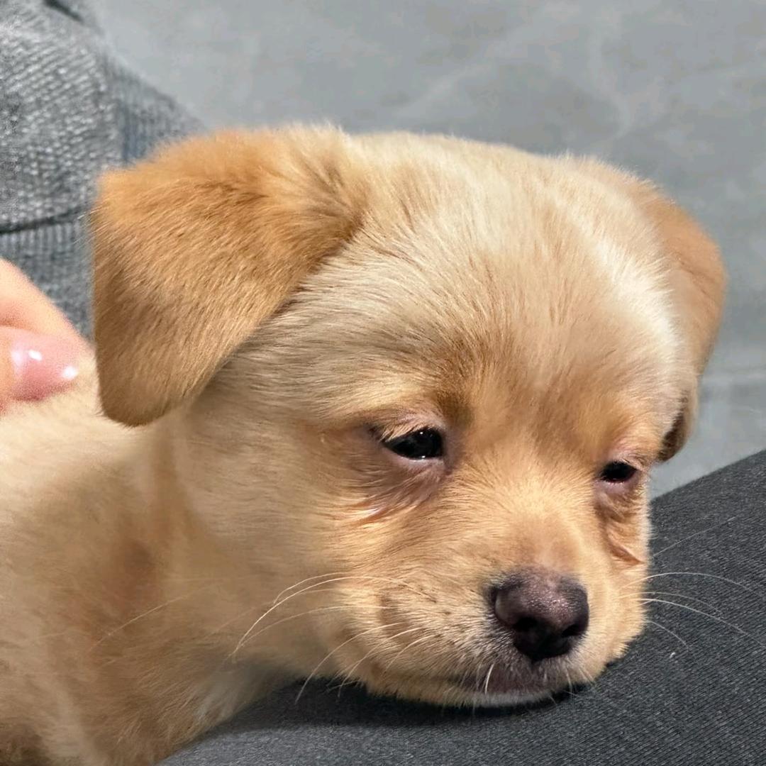 热心市民~~乖仔