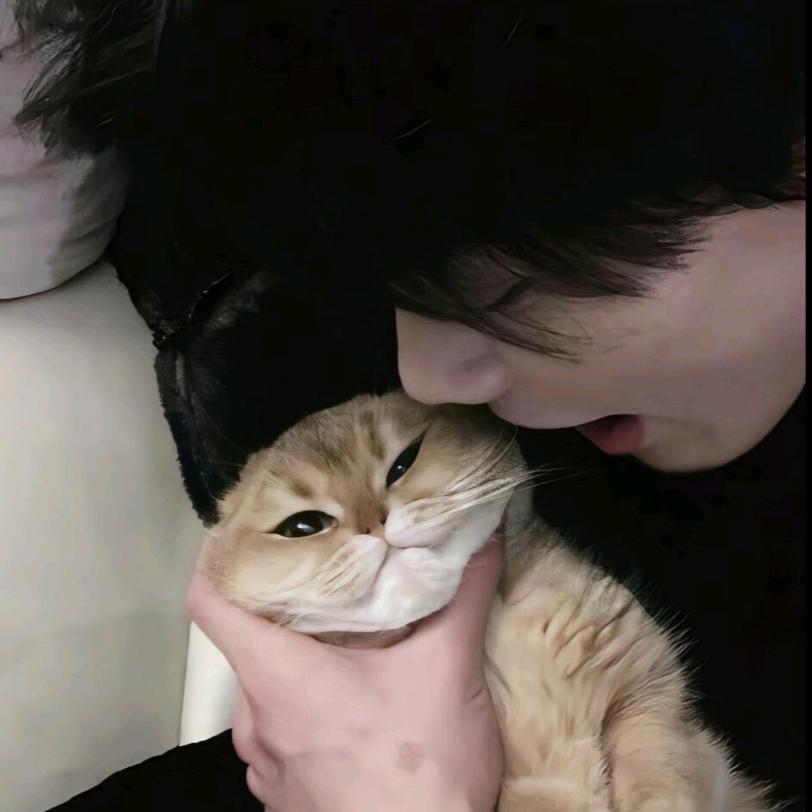 千帆
