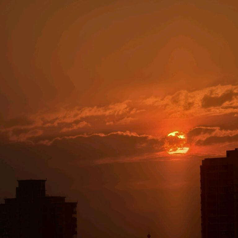 小麦（三角洲行动）