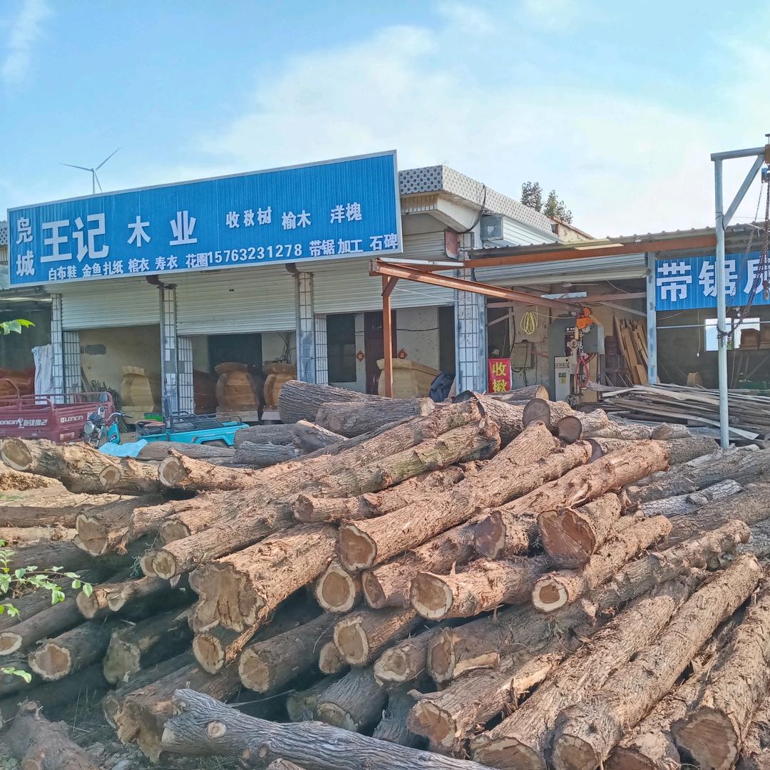 王氏木业 带锯加工