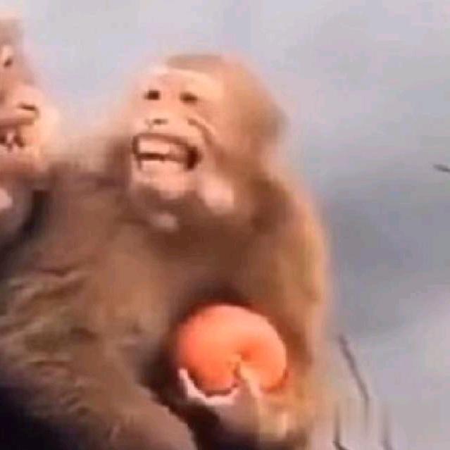 焦煤小光头