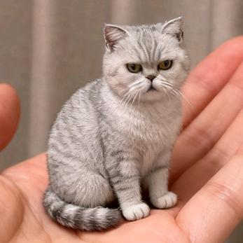 不知道起啥名……ㅤㅤ     ㅤㅤ