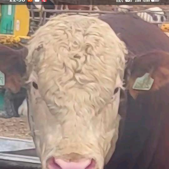 中水金鑫养植物哥