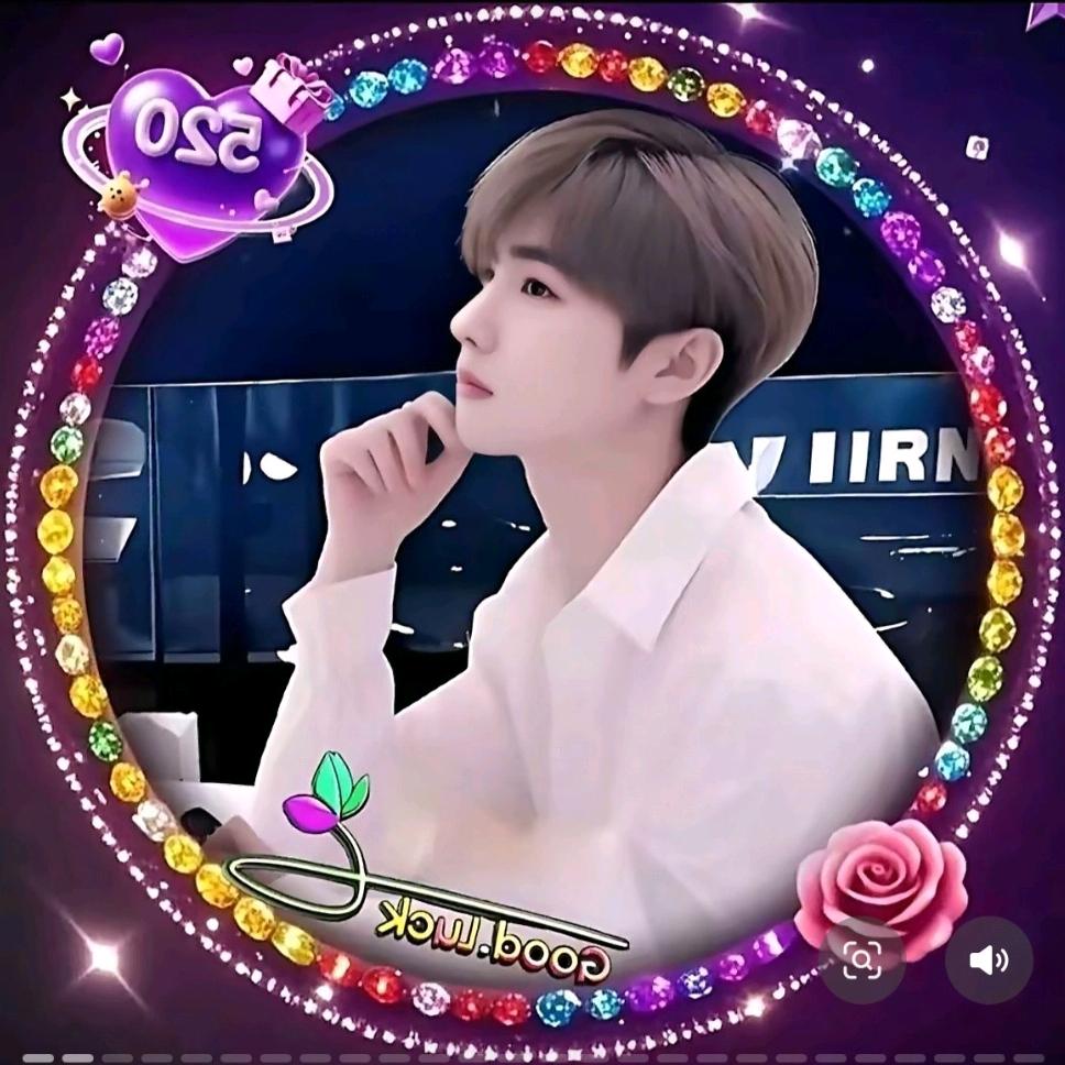 💞皇上💞
