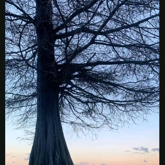 你的世界从此没有我