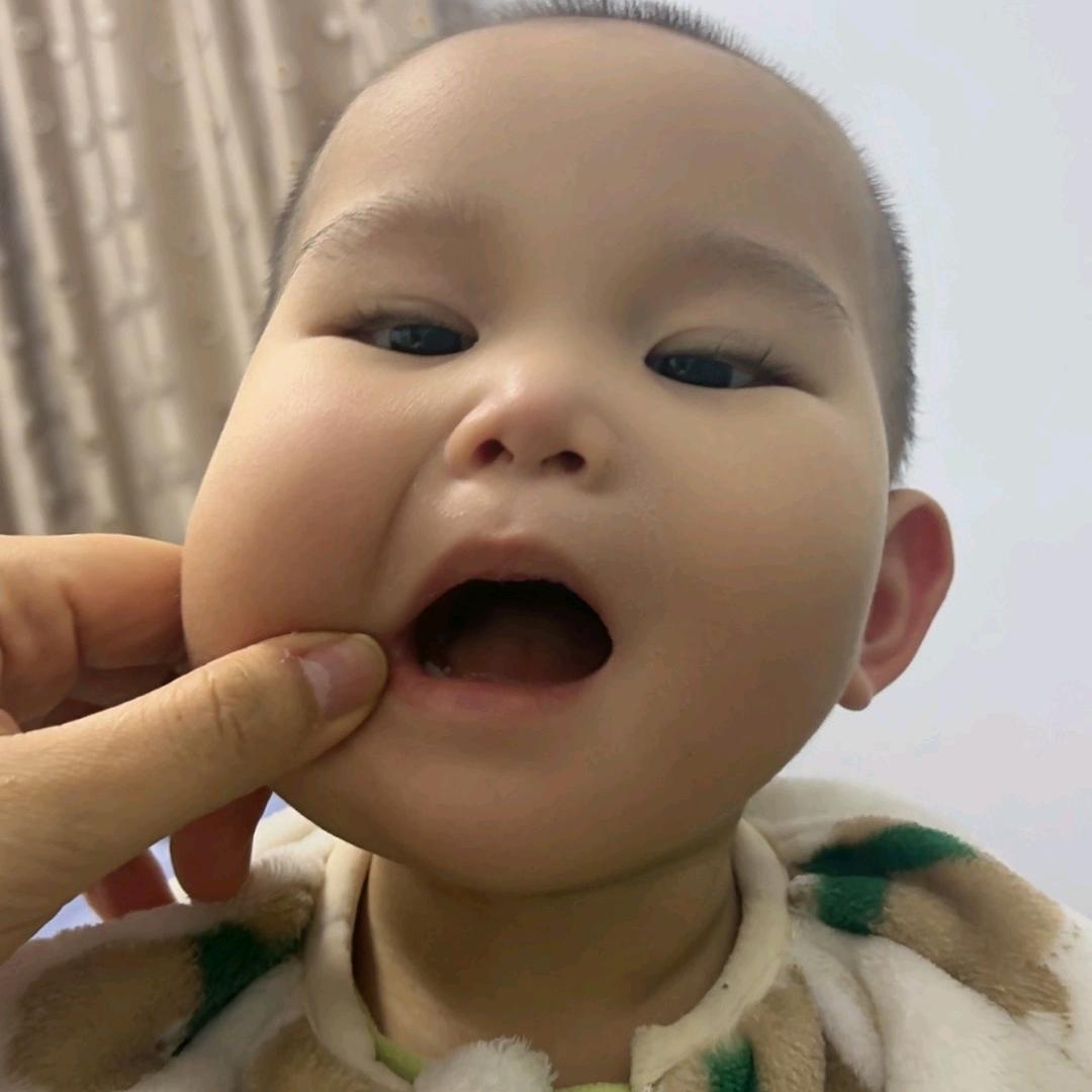 小小灰（夜羽）