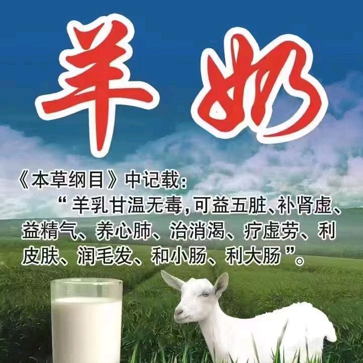 深圳羊奶小哥