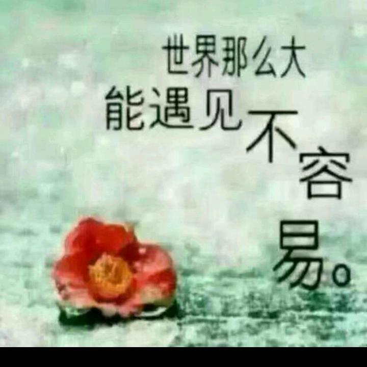 艳，看世界